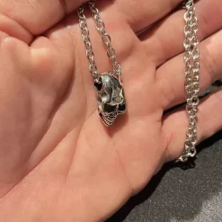 Dødningehoved i blank stål.