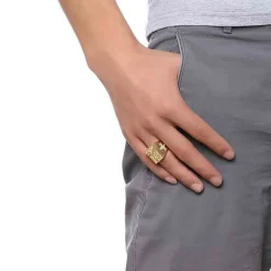 Jezus golden herrering med sten