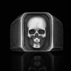 Skull faced herrering i oxy steel.